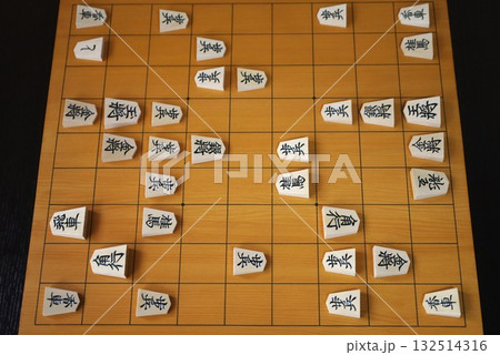 第73期王座戦第1局の投了棋譜の盤面 第73期王座戦第1局の投了棋譜の盤面 132514316