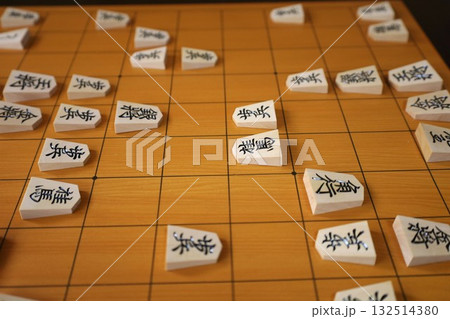 将棋（第73期王座戦第1局投了棋譜） 132514380