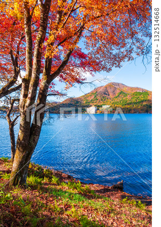 榛名山・榛名湖・掃部ヶ岳(秋) 榛名山・榛名湖・掃部ヶ岳(秋) 132514668