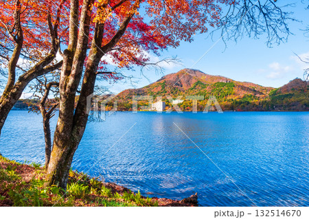 榛名山・榛名湖・掃部ヶ岳(秋) 榛名山・榛名湖・掃部ヶ岳(秋) 132514670