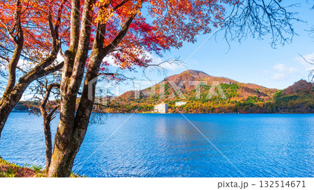 榛名山・榛名湖・掃部ヶ岳(秋) 榛名山・榛名湖・掃部ヶ岳(秋) 132514671