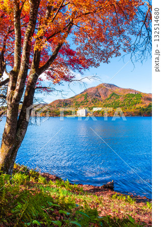 榛名山・榛名湖・掃部ヶ岳（秋） 132514680