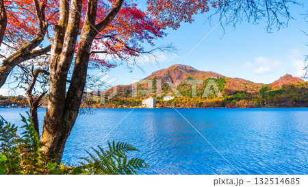 榛名山・榛名湖・掃部ヶ岳（秋） 132514685