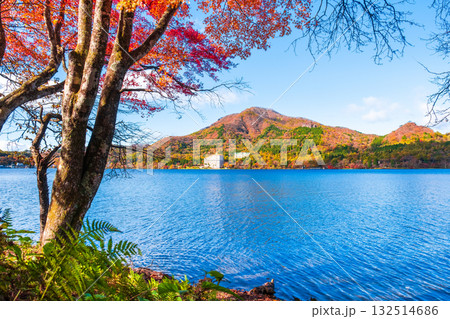 榛名山・榛名湖・掃部ヶ岳（秋） 132514686