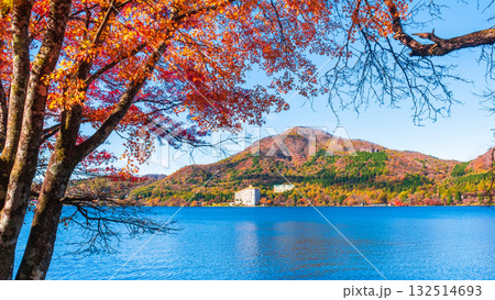 榛名山・榛名湖・掃部ヶ岳（秋） 132514693