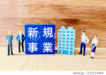 新規事業と人材戦略 新規事業と人材戦略 132514849