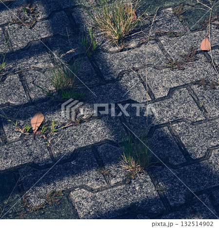 影のかかった石畳み 132514902