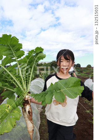 大根を収穫する女の子 大根を収穫する女の子 132515031