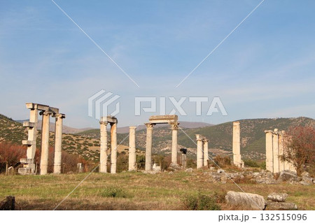 世界遺産トルコの観光名所、古代ギリシャ・古代ローマ時代のエフェソス遺跡 世界遺産トルコの観光名所、古代ギリシャ・古代ローマ時代のエフェソス遺跡 132515096