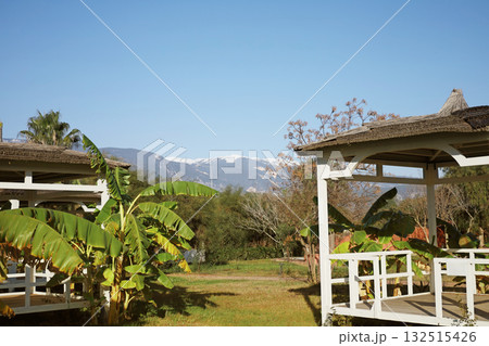 Gazebos with mountain and banana plants 132515426