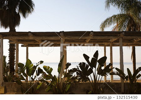 Seaside shelter with tropical plants 132515430