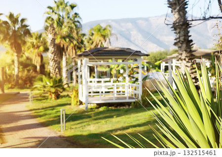 White gazebo with palm trees and mountain view 132515461