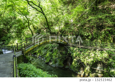 高千穂 天岩戸神社 天安河原 太鼓橋 宮崎県高千穂町 高千穂 天岩戸神社 天安河原 太鼓橋 宮崎県高千穂町 132515462