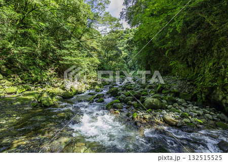 高千穂　天岩戸神社　天安河原　岩戸川　宮崎県高千穂町 132515525