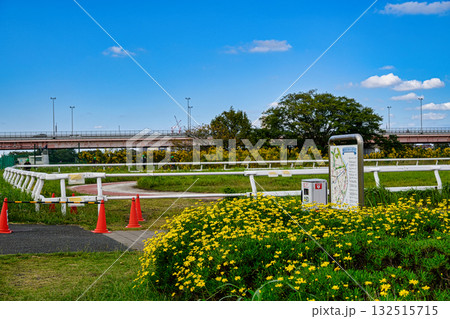 東京都江戸川区　篠崎ポニーランド 132515715