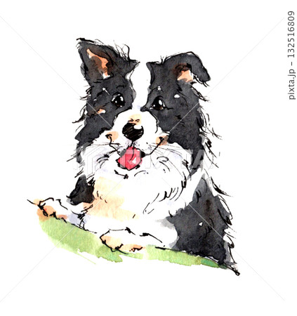 手描き風の可愛い犬のイラスト・黒白のワンちゃん・水彩タッチ 手描き風の可愛い犬のイラスト・黒白のワンちゃん・水彩タッチ 132516809