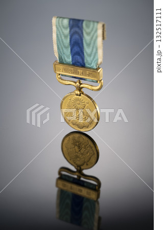 勲章　記章　メダル　リフレクション 132517111