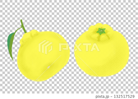 Two Yuzu illustrations with leaves, white background Two Yuzu illustrations with leaves, white background 132517529