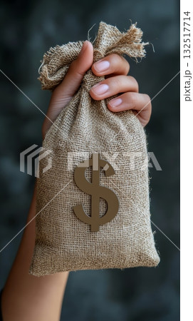 Hand is grasping a small burlap sack with a dollar sign on it, representing savings, investment, and financial growth Hand is grasping a small burlap sack with a dollar sign on it, representing savings, investment, and financial growth 132517714
