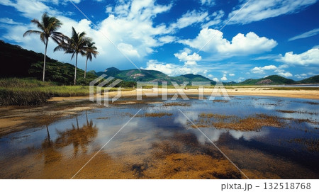Serene tropical beach with palm trees and calm water. 132518768