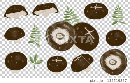 シイタケ(水彩タッチ)の素材セット シイタケ(水彩タッチ)の素材セット 132519827