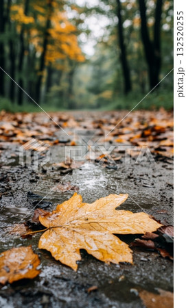 Rainwater flowing over a path blanketed with fallen leaves in an autumn forest, featuring a large, wet maple leaf in the foreground, captures the essence of seasonal change 132520255