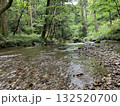 森の中を流れる川 132520700