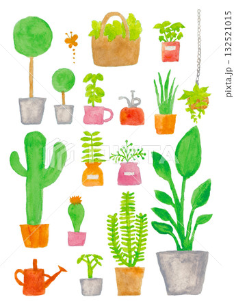 インテリアグリーンのセット 132521015