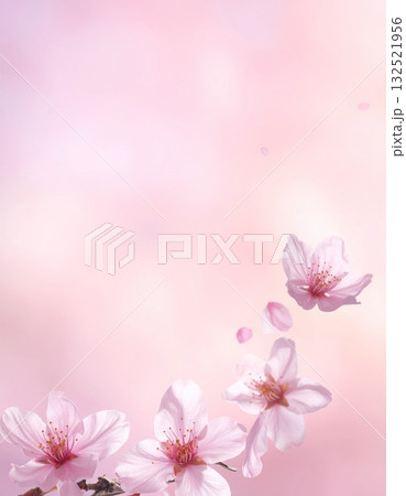 右下に舞い散る数枚の桜の花びら 132521956