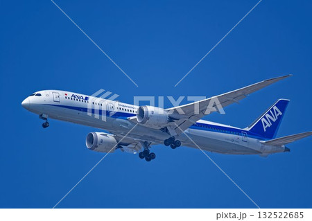 全日空(ANA)のボーイング787型旅客機 132522685