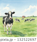 青空と緑の牧場で草を食べる牛たち　北海道 132522697