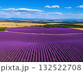広大なラベンダー畑　北海道 132522708