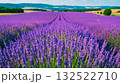 広大なラベンダー畑　北海道 132522710