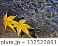 水辺の黄色い落ち葉 132522891