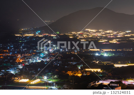 《愛知県》電照菊・ビニールハウスが輝く夜景 132524031