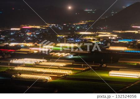 《愛知県》電照菊・ビニールハウスが輝く夜景 132524056
