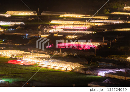 《愛知県》電照菊・ビニールハウスが輝く夜景 《愛知県》電照菊・ビニールハウスが輝く夜景 132524059