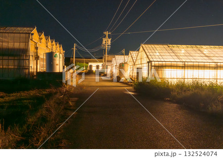 《愛知県》電照菊・ビニールハウスが輝く夜景 《愛知県》電照菊・ビニールハウスが輝く夜景 132524074