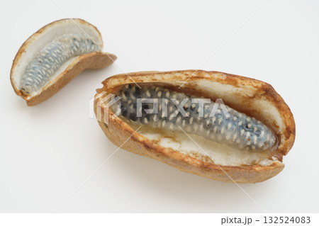 アケビの実 132524083