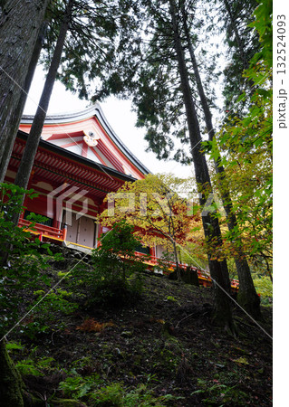 延暦寺の朱塗りの建物と木立 延暦寺の朱塗りの建物と木立 132524093