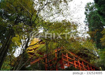 延暦寺の朱塗りの建物と木立 132524095