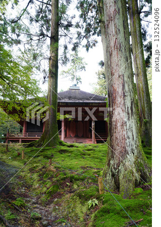 延暦寺の朱塗りの建物と木立 延暦寺の朱塗りの建物と木立 132524096