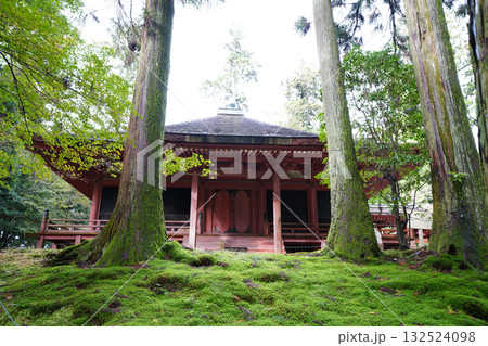 延暦寺の朱塗りの建物と木立 延暦寺の朱塗りの建物と木立 132524098