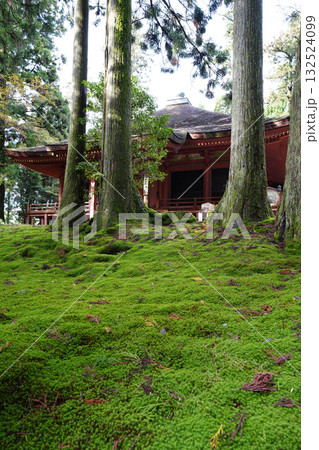 延暦寺の朱塗りの建物と木立 132524099