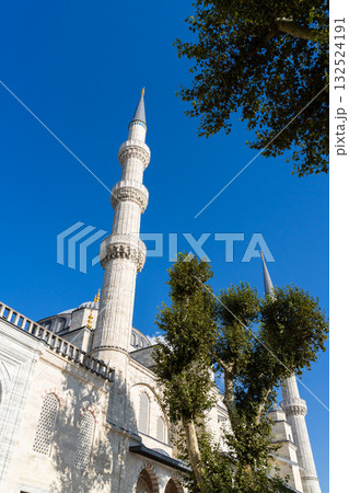 イスタンブールのモスク　ブルーモスクの絶景 132524191