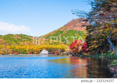 榛名山・榛名湖・烏帽子ヶ岳（秋） 132524257