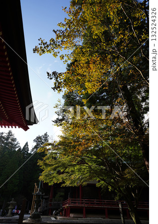 比叡山延暦寺の境内の紅葉が始まった木々 比叡山延暦寺の境内の紅葉が始まった木々 132524326