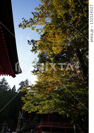比叡山延暦寺の境内の紅葉が始まった木々 比叡山延暦寺の境内の紅葉が始まった木々 132524327