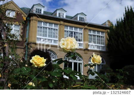 鳩山会館と薔薇 鳩山会館と薔薇 132524607