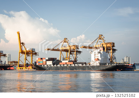 Crane and cargo ship at port in Bangkok City of Thailand. 132525102